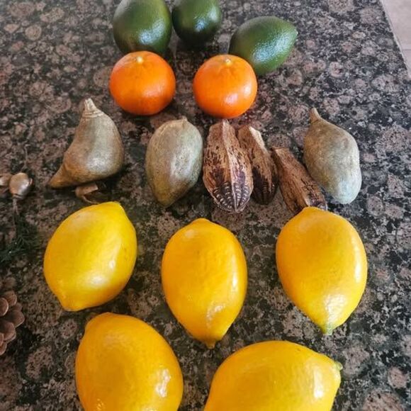 Faux Fruit Lemons Oranges Limes and Weird Alien Seed Pods - Picture 2 of 6